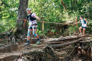 BIB: 
                            <button type="button" onclick="openModal(27558570)" class="btn btn-primary btn-sm float-right btn-popup" data-toggle="modal" data-target=".modal-high-quality">
                        <i class="fas fa-shopping-cart"></i> Add to Cart
                    </button>
                                            <button type="button" onclick="isThisMe(27558570, true)" class="btn btn-success btn-sm float-right btn-popup btn-isme hidden" data-toggle="tooltip" data-placement="bottom" title="นี่คือรูปของคุณใช่ไหม คลิกที่นี่เพื่อเอาเข้าอัลบั้ม">
                        <i class="fas fa-plus"></i> Add to album
                    </button>
                    <button type="button" onclick="isThisMe(27558570, false)" class="btn btn-warning btn-sm float-right btn-popup btn-isnotme hidden">
                        <i class="fas fa-ban"></i> Remove from album
                    </button>